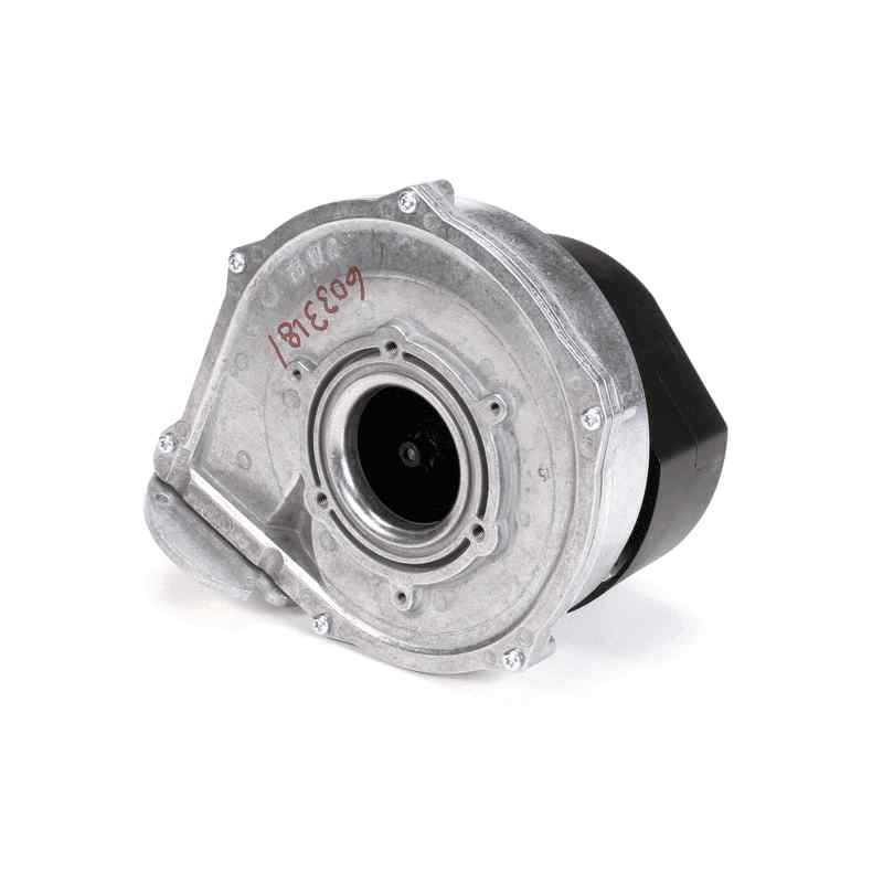 BKI 6033181 Burner Blower/Motor Assembly