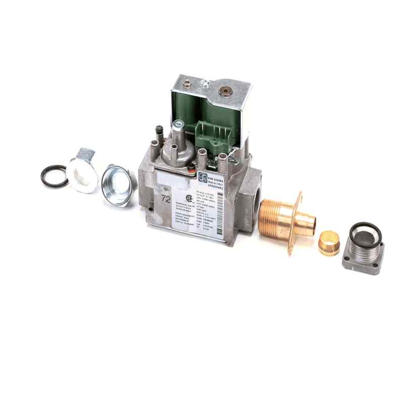 Angelo Po 6301018 Gas Valve, 120V, 60HZ, Natural Gas