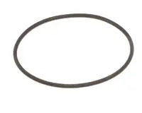 [HEN162498] O-Ring, Filter Pump