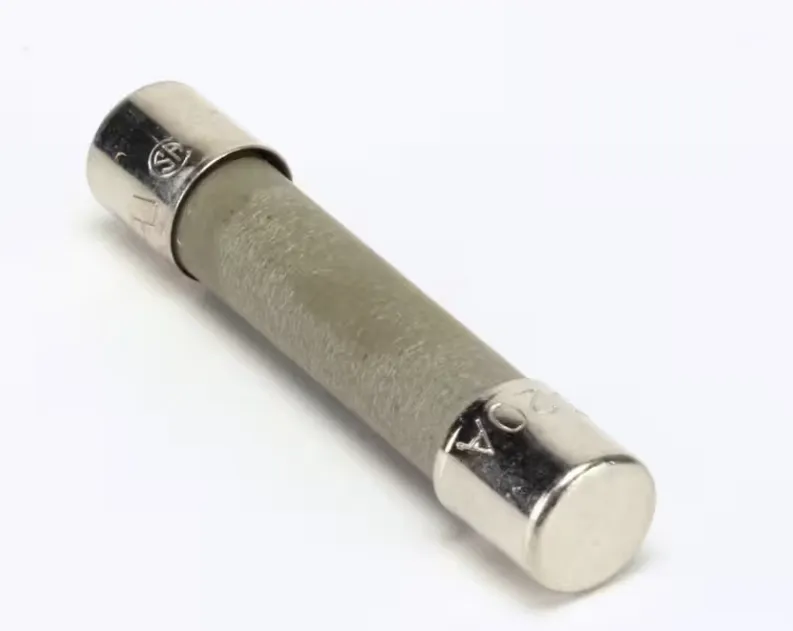 [8072819] FRYMASTER Fuse, 20A